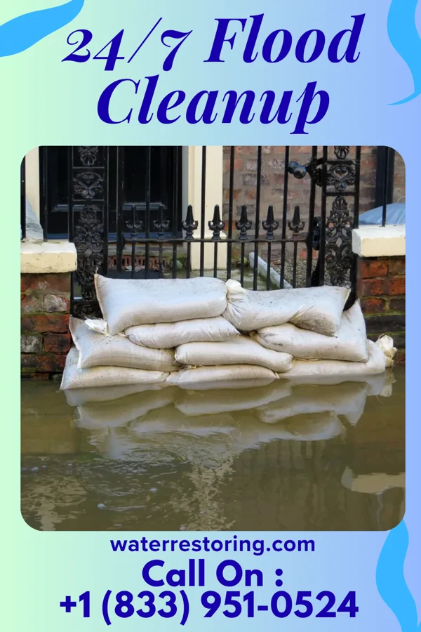 24/7 Flood Cleanup in Port Republic, NJ
