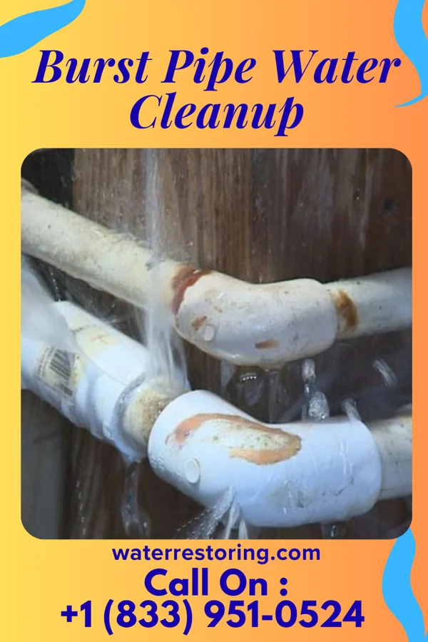 Burst Pipe Water Cleanup in Port Republic, NJ