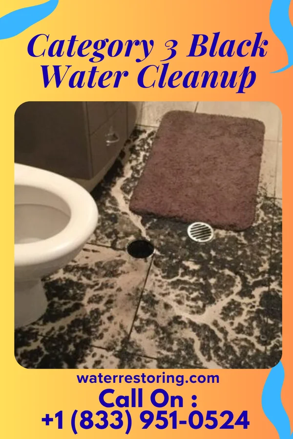 Category 3 Black Water Cleanup in Port Republic, NJ