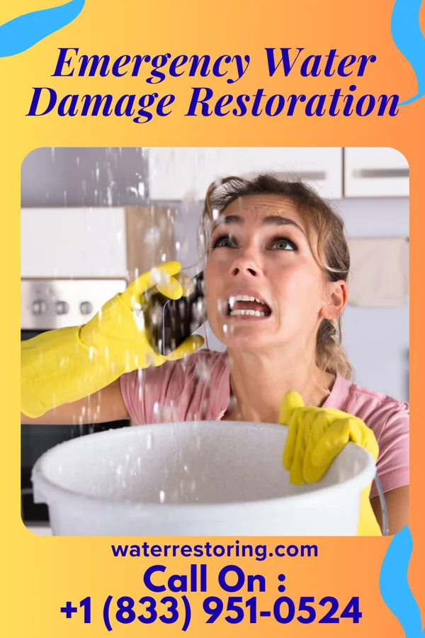 Emergency Water Damage Restoration in Port Republic, NJ