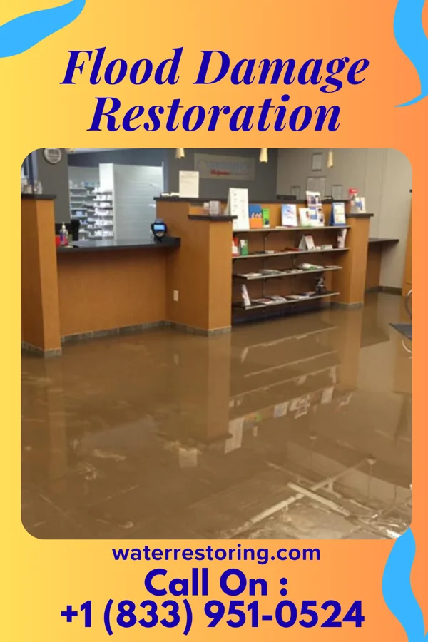 Flood Damage Restoration in Port Republic, NJ