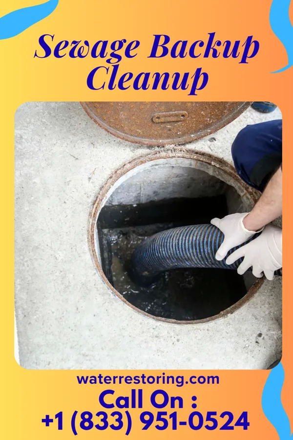 Sewage Backup Cleanup in Port Republic, NJ
