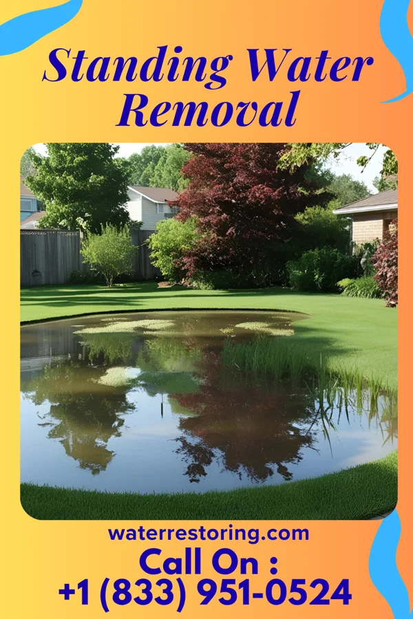 Standing Water Removal in Port Republic, NJ
